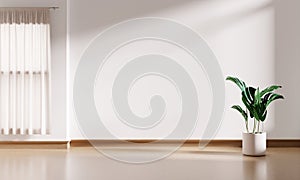 White interior empty room background with window and monstera plant pot on wooden floor and blinds. Interior and architecture