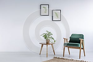 White interior with kale green chair photo
