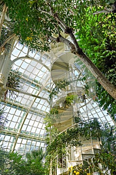 White iron spiral stair surrounded with tropical trees and plants. Windows on the back. Vienna Palm house. September