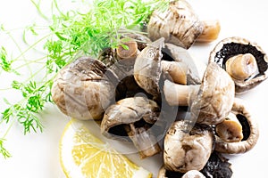 On a white isolated background, a plate dish with marinated whole champignon mushrooms, fresh lemon and dill