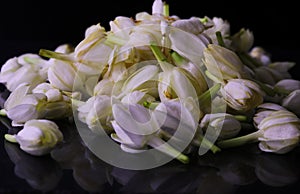 White jasmine flowers .