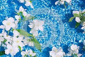 White jasmine flowers in blue transparent water. Summer floral composition with sun and shadows. Nature concept. Top view.