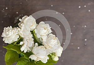 White jasmine flowers in a glass.Beautiful jasmine flower in the