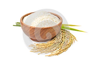 White jasmine rice in wooden bowl with paddy rice