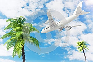 White Jet Passenger`s Airplane Flying over Tropical Palm Trees o