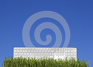 White keyboard on the grass