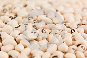 White kidney beans black eye macro background.