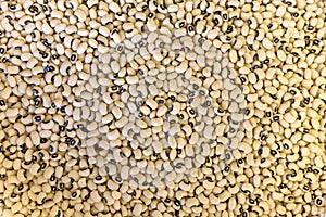 White kidney beans at market, background