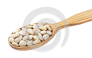 White kidney beans in wooden spoon isolated on white background