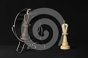 White king sees the black king