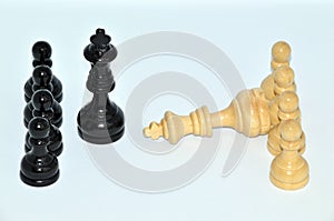 The white king was defeated by the black king. unfocused pawns on the sides. Isolated on white background