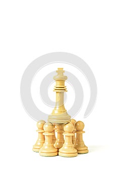 White king on white chess pawns