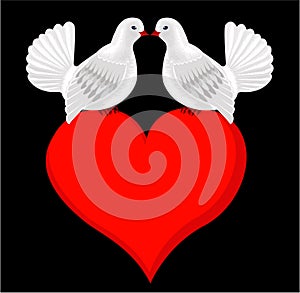 White kissing doves in love on heart. Wedding card
