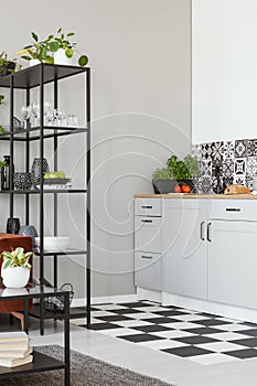 White kitchen interior with elegant wooden cupboards and kitchen accessories