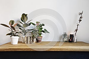 White kitchen interior with green plants on rustic wooden table, modern workplace in nordic style.