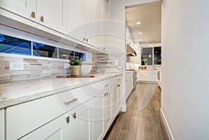 White kitchen wet bar features white modern cabinets photo