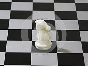White knight of chess