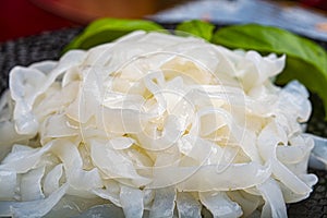 White konjac shirataki noodles, gluten free and no fat diet vegetarian and vegan Asian food