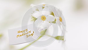 White Label with Happy Mothers Day and delicate white flowers