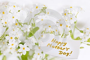 White Label with Happy Mothers Day and delicate white flowers