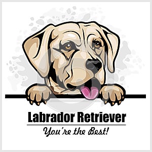 White Labrador - vector peeking dog head, dog breed