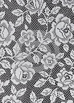 White Lace Roses Texture