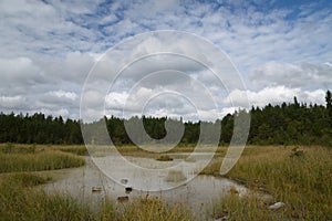 White lake, Estonia. September, afternoon light.