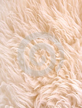 White lambskin as background