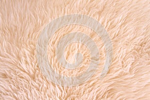 White lambskin as background