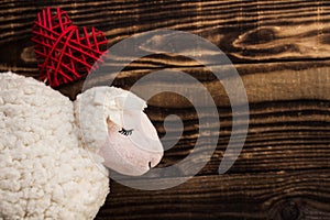White lamd on wooden background