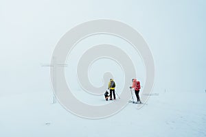 White landscape with people Alpine skiing and a dog at the top of a mountain - great for a wallpaper