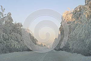 Winter icy road in the snow-covered forest