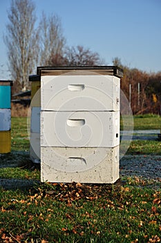 White Langstroth Bee Hive