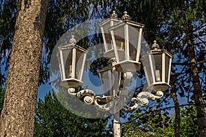 White lanterns are surrounded by trees