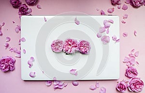 A white laptop is strewn with pink flowers on a pink background. Flat lay