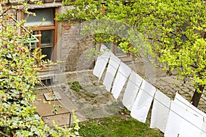 White laundry drying on a clothingline in a backyard