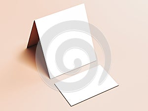 White leaflet and business card