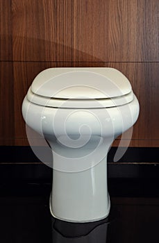 White leaky toilet installation with a puddle under the toilet