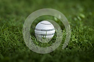 White leather Cricket ball resting on a green grass cricket ground pitch