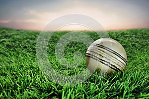 White Leather Cricket Sport Ball on grass with sky