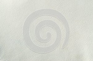 White leather texture background. Blank material made from animal skin for furnitur