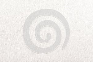 White leather texture background. Skin pattern for manufacturing of luxury shoes, clothes, bags and fashion