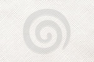 White leather texture background. Skin pattern for manufacturing of luxury shoes, clothes, bags and fashion