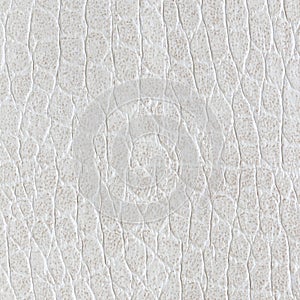 White leatherette texture for background.