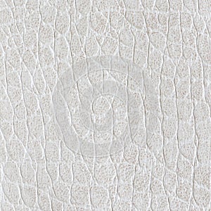 White leatherette texture for background.