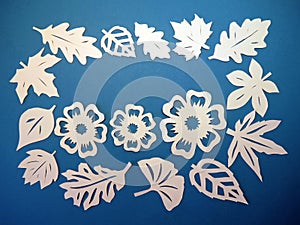 Bianco foglie un fiori modello. 
