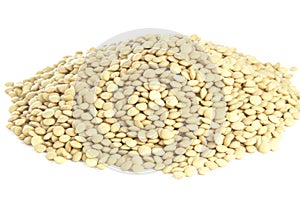 White lentils