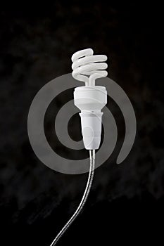 White light bulb on black