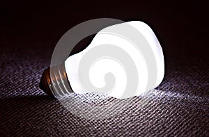 White light bulb lamp illuminated in dark