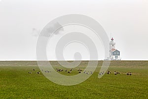 White light house, geese and a cloud